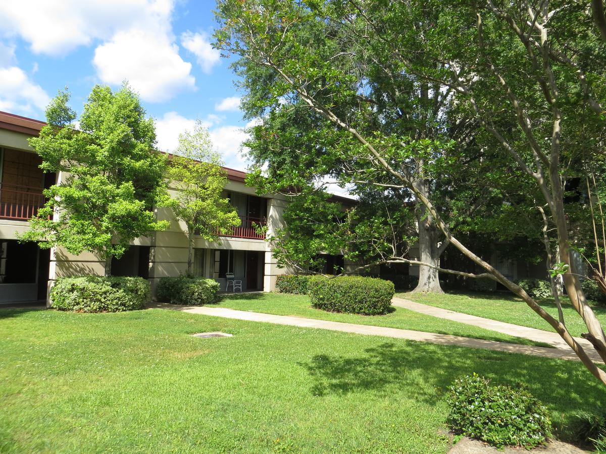 Olive Tree Hotel And Banquet Halls Jackson Bagian luar foto